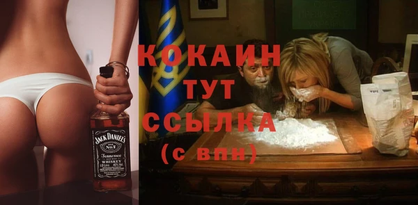гидра Михайловка