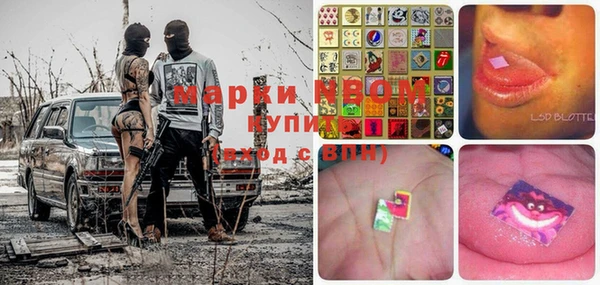 твердый Магас