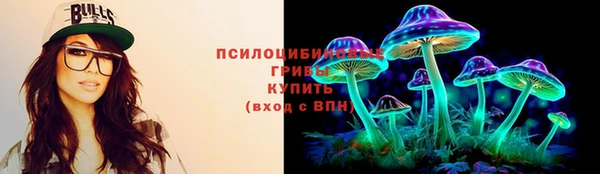 гидра Михайловка