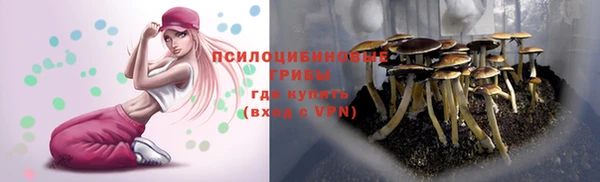 MDMA Медвежьегорск