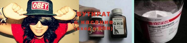 гидра Михайловка