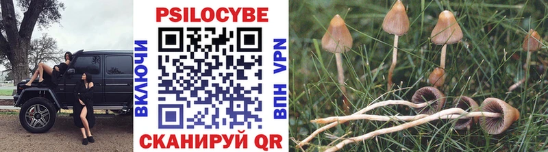 Псилоцибиновые грибы MAGIC MUSHROOMS Купить закладки Петухово